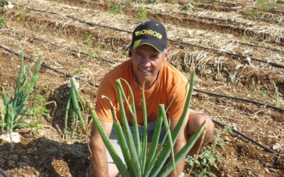 Un producteur d’oignon doux engagé dans une agriculture durable